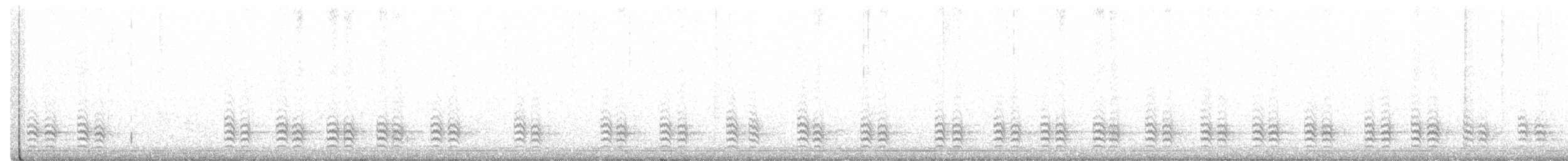 Weißbrustkleiber (carolinensis) - ML290403181
