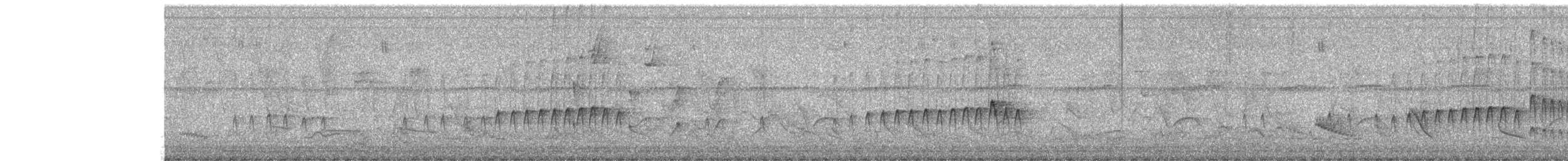 Mouse-colored Tyrannulet (Northern) - ML290403681