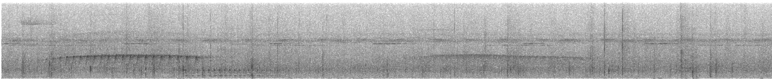 Waved Woodpecker (Waved) - ML290490