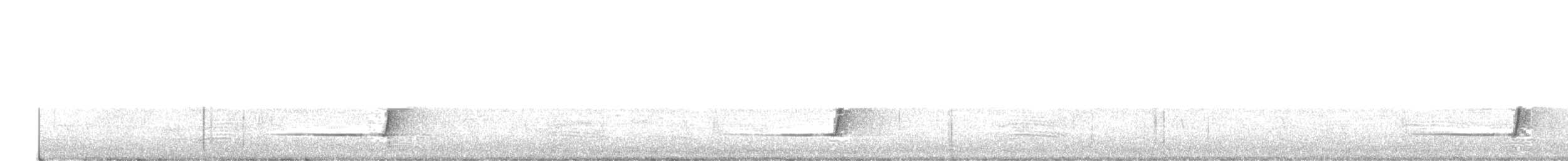 Silbador Rufo - ML290528641