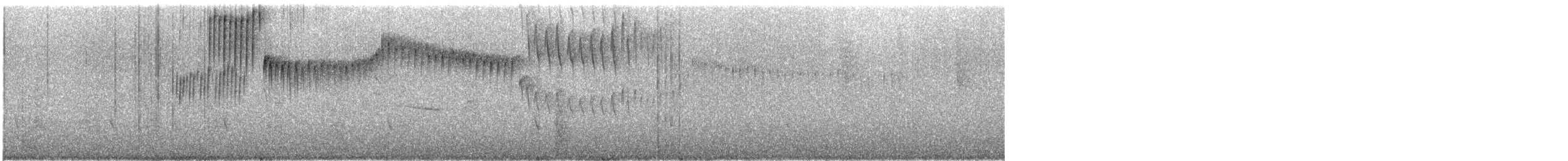 ミドリビタイテリハチドリ - ML290558