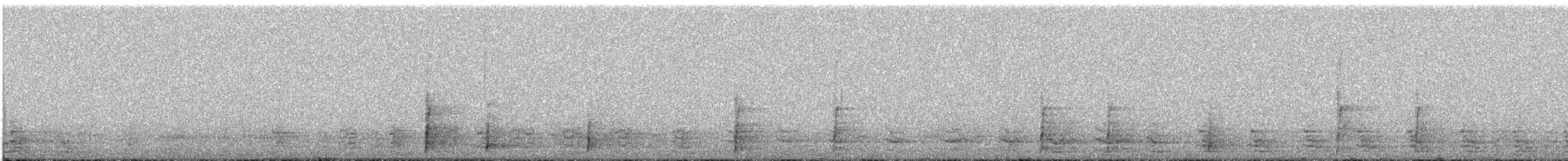 Tacchino selvatico - ML290602511