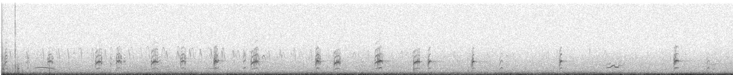 Black-necked Stilt - ML290602591