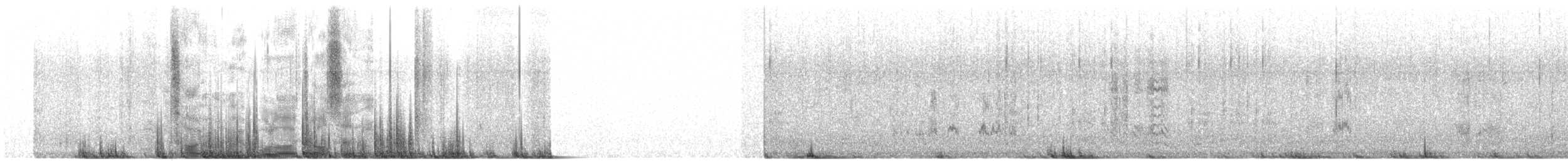 Серый сорокопут (pallidirostris) - ML290652561
