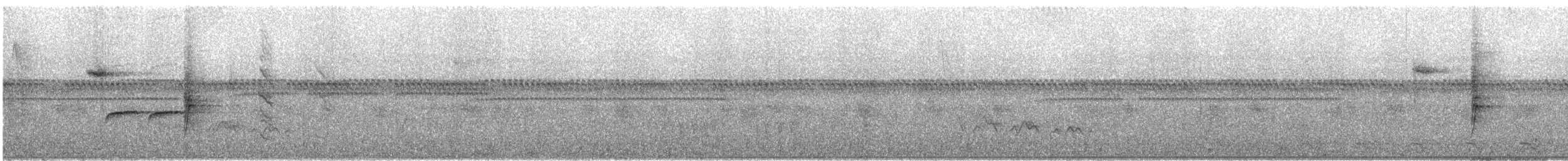 Finsch's Euphonia - ML290675