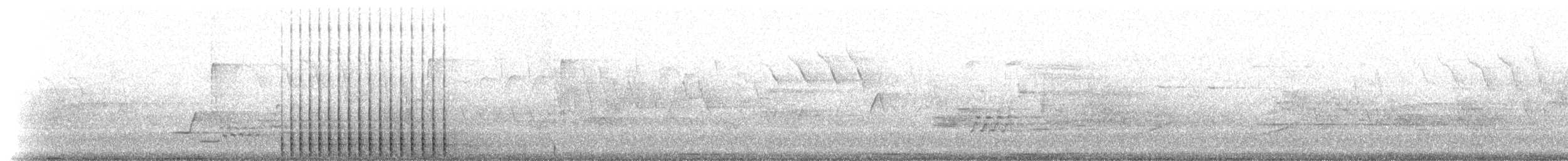strakapoud osikový (ssp. pubescens/medianus) - ML29073201