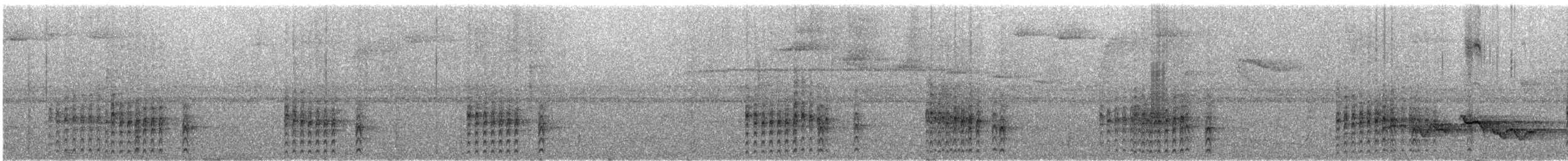 Synallaxe de McConnell - ML290752