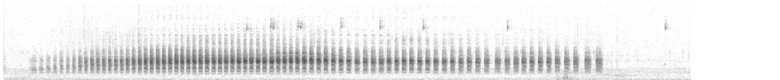 Boucard's Wren - ML290779341