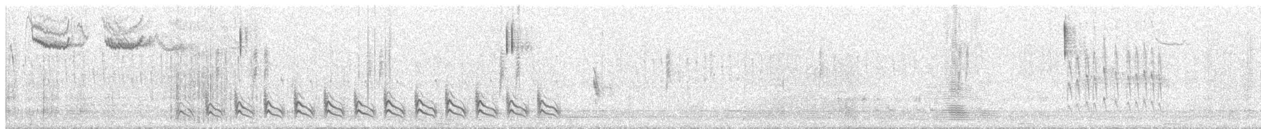 Boucard's Wren - ML290779601