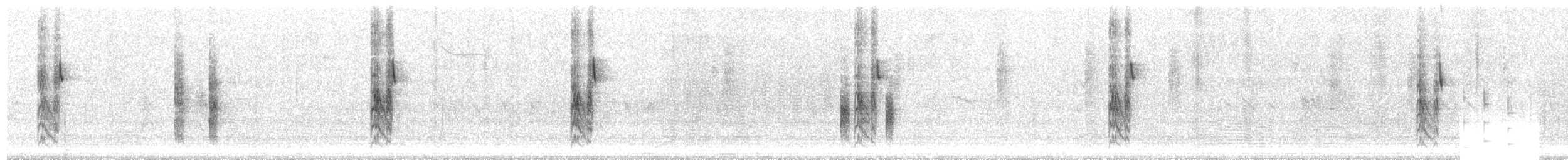 White-throated Towhee - ML290779671