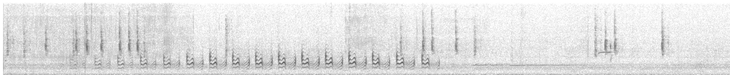 Boucard's Wren - ML290780141