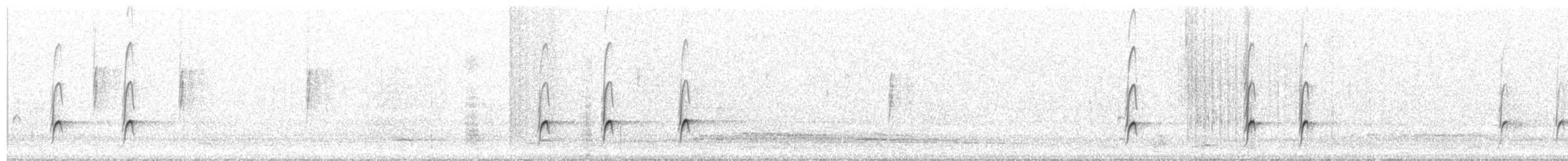 Greater Pewee (Mexican) - ML290780201