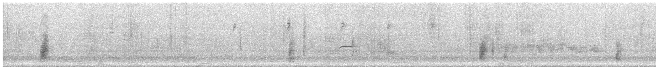 Boucard's Wren - ML290780291