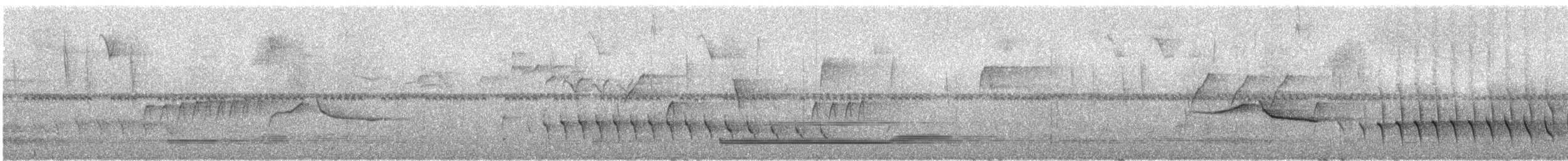 Roraiman Antwren - ML290805