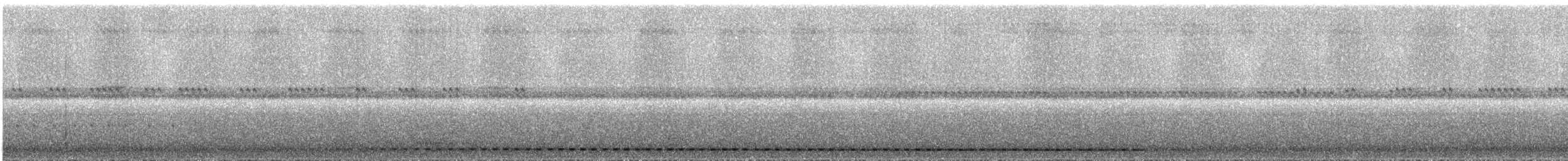 Сплюшка нагірна (підвид roraimae) - ML290820