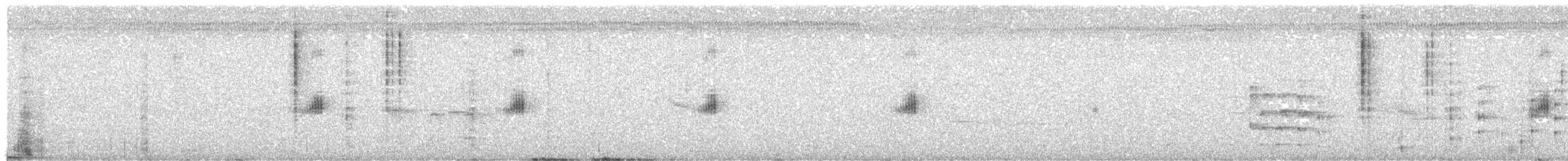 ルリノドハチドリ - ML290828021