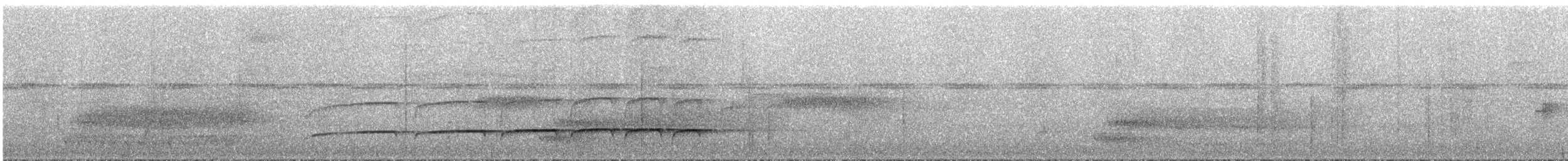 Curve-billed Scythebill - ML290866