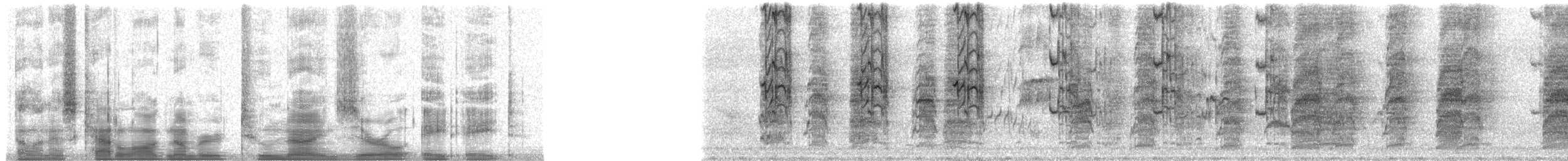 lori žlutošupinatý - ML29088