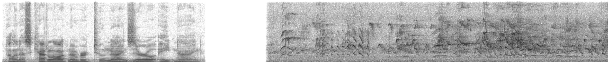 lori žlutošupinatý - ML29089