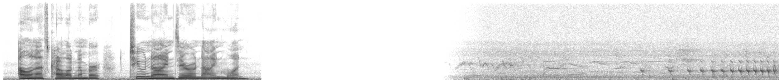 Black-headed Trogon - ML29091