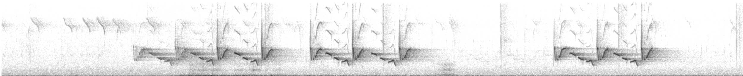 Carolina Wren - ML290916161