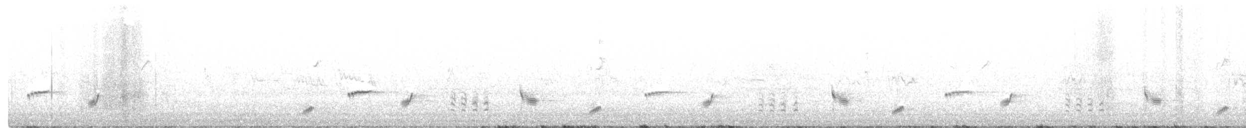 Kara Boğazlı Kamçıkuşu - ML290974261
