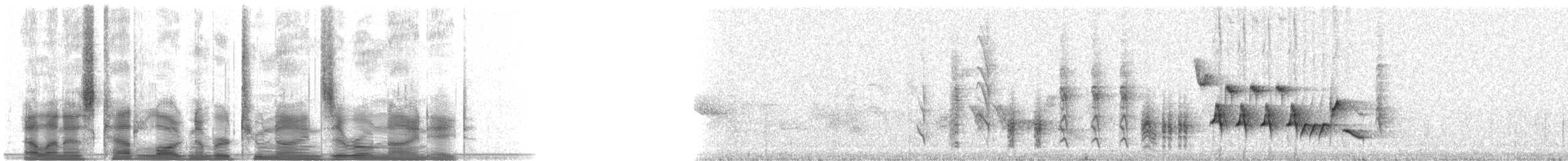 Southern House Wren - ML29098