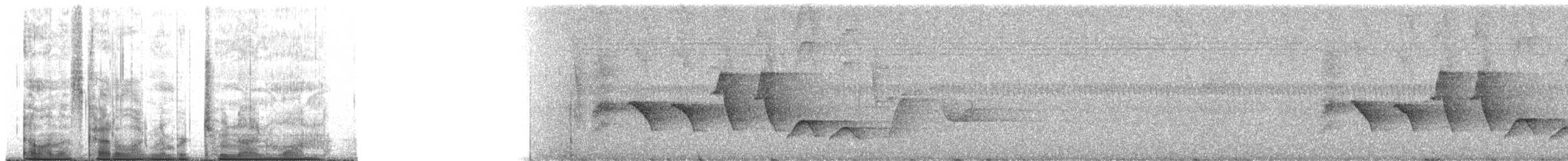 Short-tailed Drongo - ML291