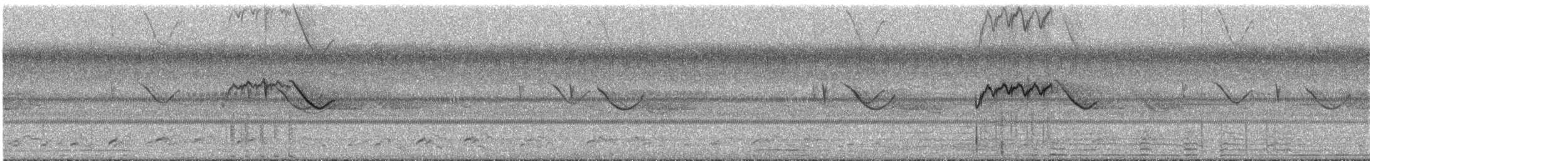 Spot-tailed Nightjar - ML291088