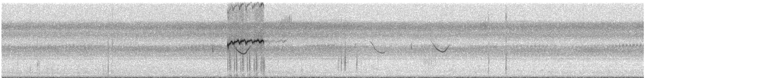 Spot-tailed Nightjar - ML291096