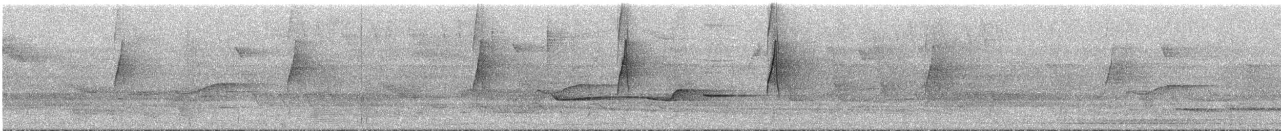 Длинноклювый колибри-отшельник - ML291192