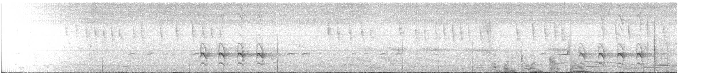 ledňáček posvátný (ssp. sanctus) - ML291286211