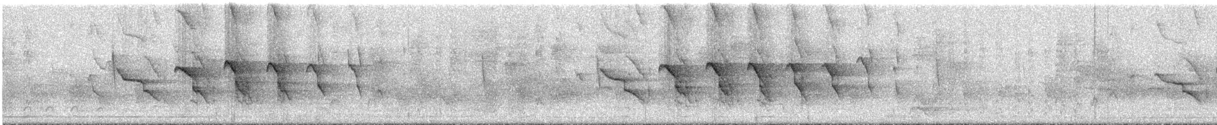 klatremaurvarsler (anabatinus gr.) - ML291289