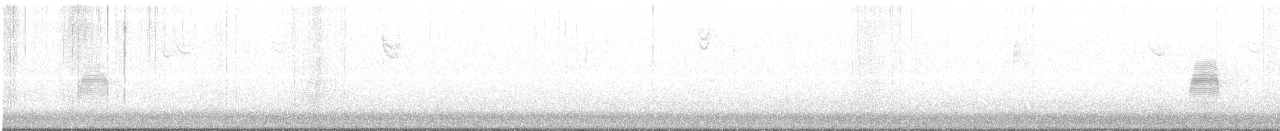 American Woodcock - ML291441501