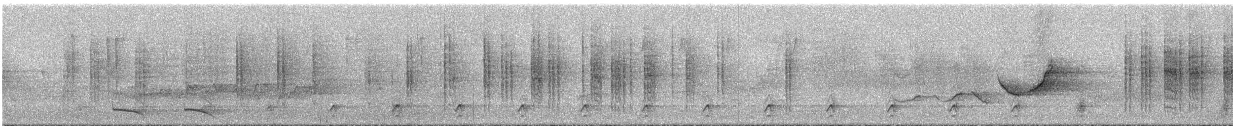 Toucanet émeraude (groupe prasinus) - ML291471