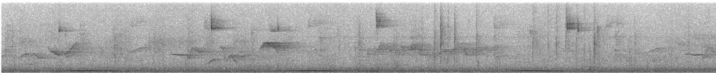Weißgesichttaube - ML291493