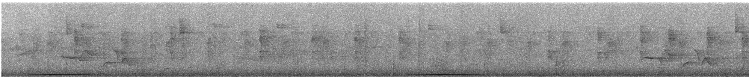 Weißgesichttaube - ML291496