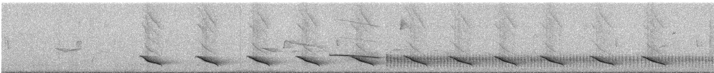 Sarı Gagalı Kasik (holosericeus/flavirostris) - ML291521