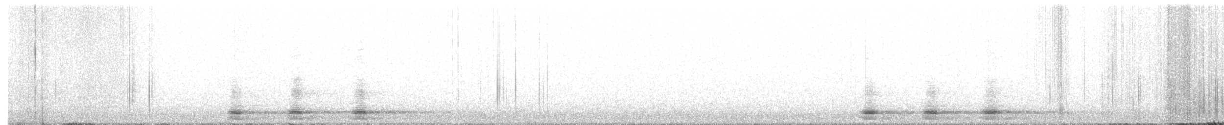 Corvo imperiale - ML291527851