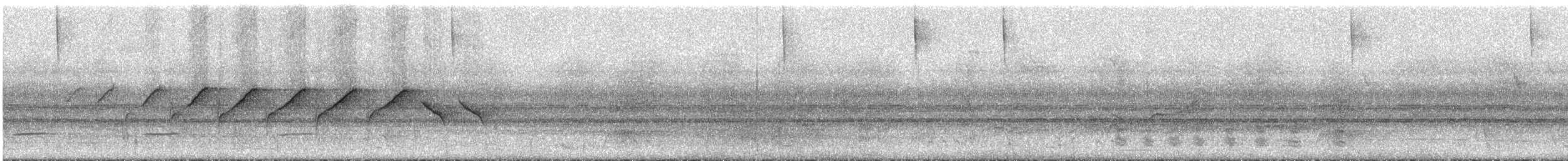 Morelet's Seedeater - ML291587