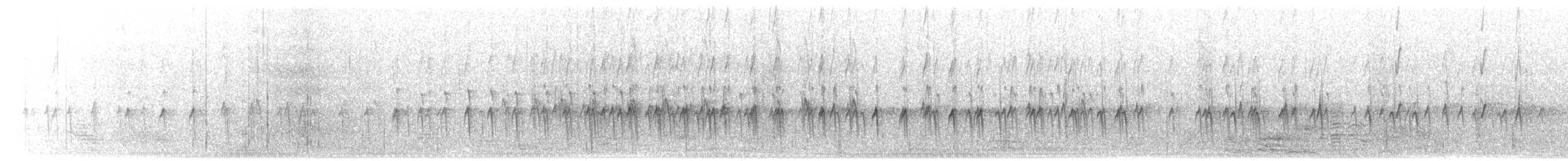 Mokokerra (12 mota) - ML291596351