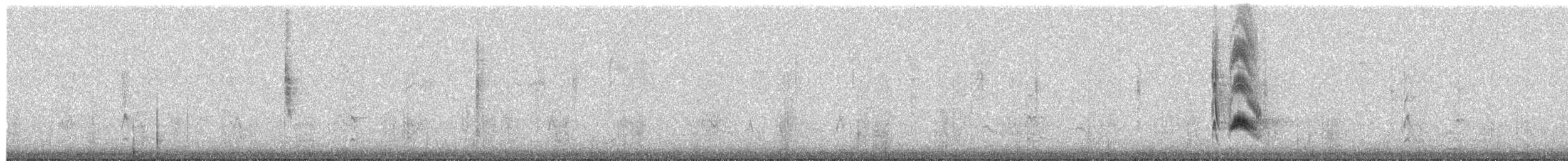Серогрудый тиранн - ML291613501