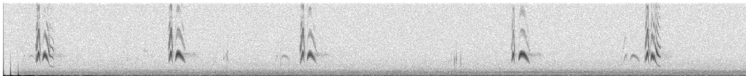 Серогрудый тиранн - ML291613531