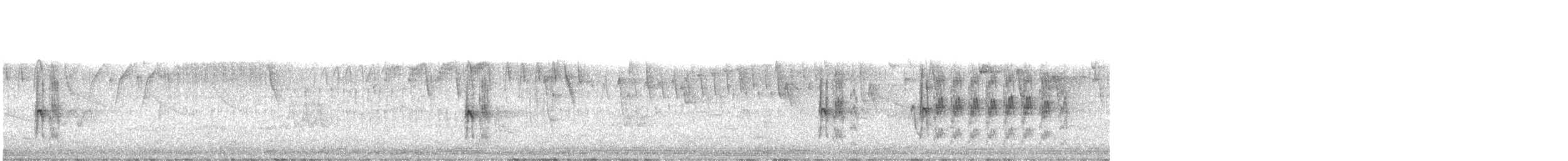 White-spotted Woodpecker - ML291618491