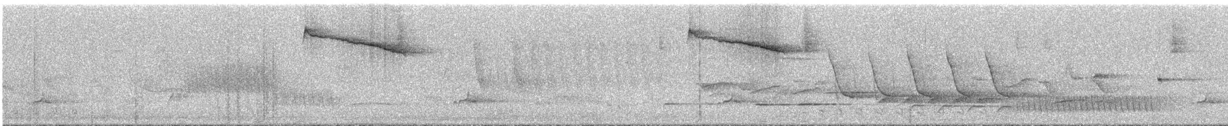 Bronz İnekkuşu [aeneus grubu] - ML291622