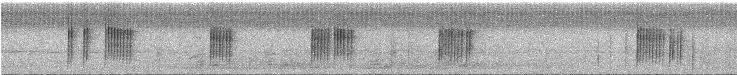 Banded Wren - ML291642