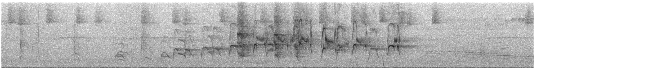 Halsbandsegler - ML291706