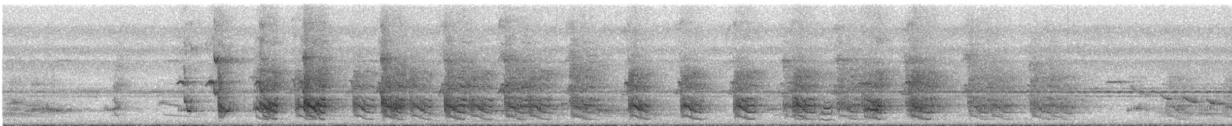 Amazone à lores rouges ou A. lilacée - ML291740