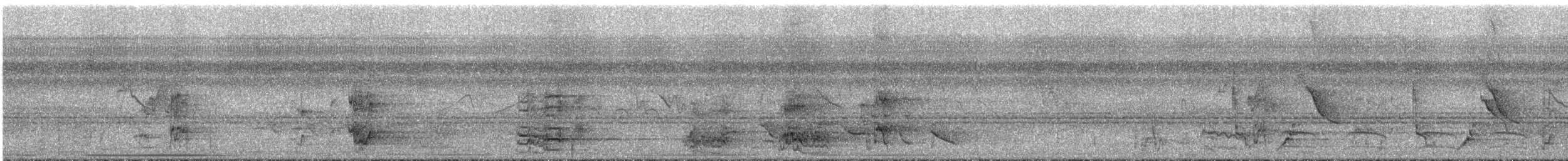 Amazone à lores rouges ou A. lilacée - ML291741