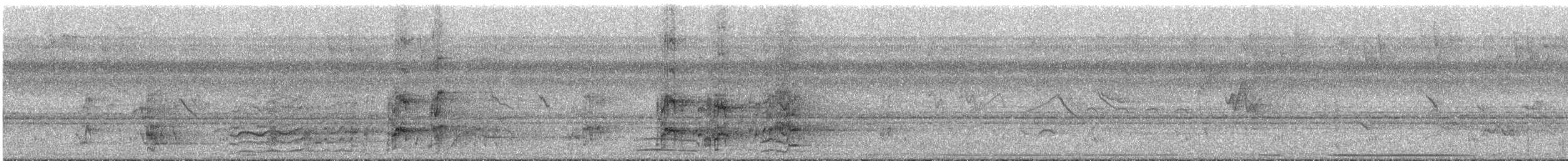 Amazone à lores rouges ou A. lilacée - ML291742